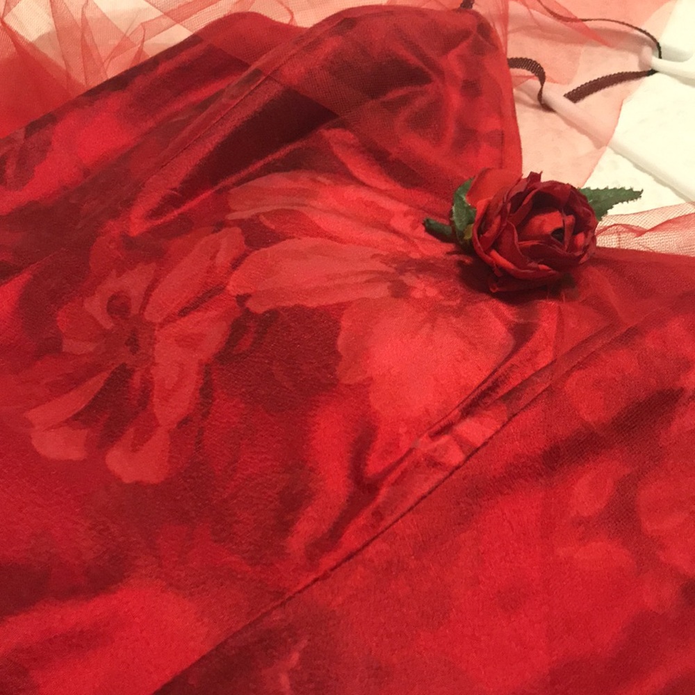 Dana Deatherage - Picture 11 of 13